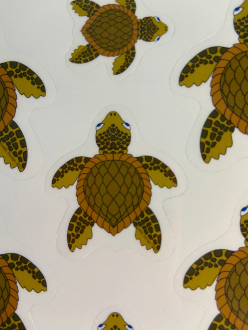 Sea Turtle Sticker Sheet - Etsy