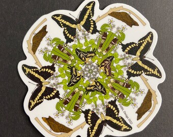 Giant Swallowtail Butterfly Life cycle sticker pack