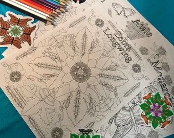 Butterfly Life Cycle Coloring pages for Digital Download