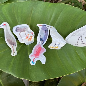 Florida bird stickers