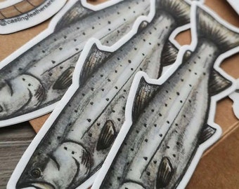 Sea Trout Sticker