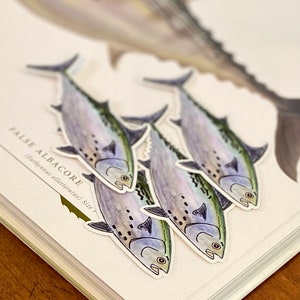 Tuna Sticker: Weather Resistant Vinyl Decal