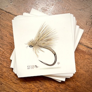 Quil Body Caddis Quadrat
