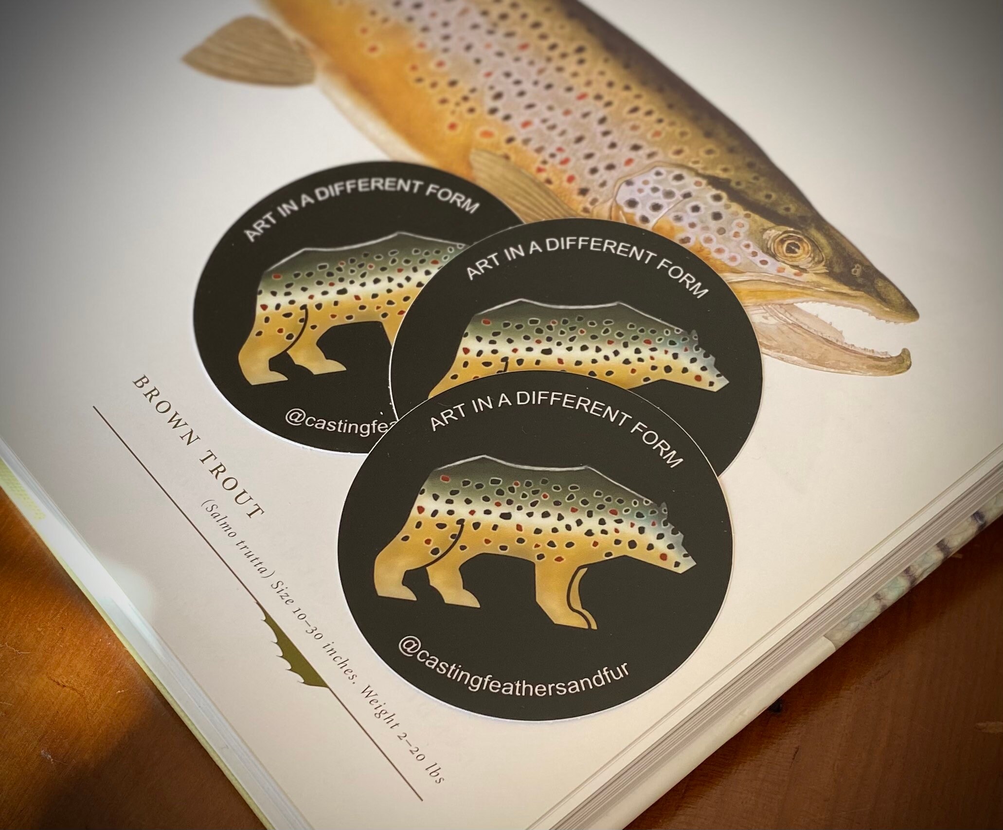 SIMMS Fishing Products Authentic Trout Riffle Wordmark Sticker – Original Gear