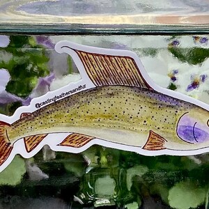 May include: A sticker of a brown and green trout with purple markings on its side. The sticker is on a clear glass jar. The text "@castingfeathersandfur" is on the sticker.