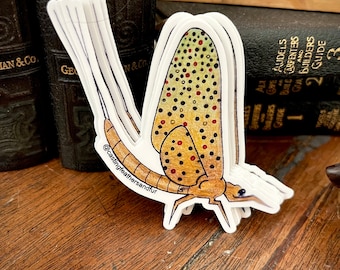 Brown Trout Mayfly Sticker white border