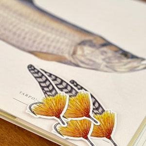 May include: Three yellow and orange fishing fly stickers with black and white feathers. The stickers are on a white page with the word "TARPON" printed on the page.