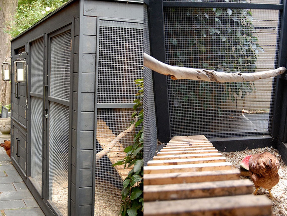 Modern Chicken Coop Plans Pdf File Chicken Coop Plan Simple Etsy