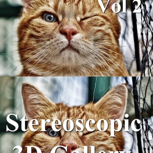 May include: A close-up of an orange tabby cat winking, with the text "Cats & Kittens Vol 2" and "Stereoscopic 3D Gallery" in white. The cat has blue eyes and a pink nose. The background is blurred.