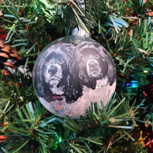 Custom painted double pet glass ornament. 2 hand painted detailed realistic pet portraits on a transparent round glass bauble ornament. 2 black and white poodles shown painted.