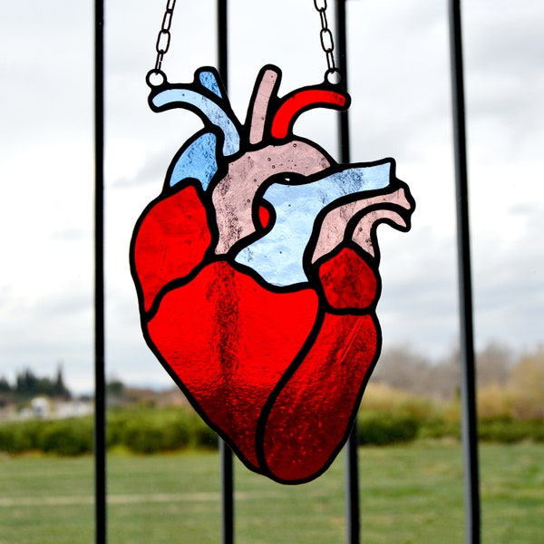 Stained glass anatomical heart