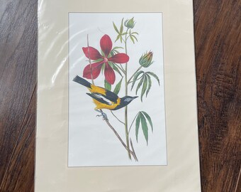 James Audubon Bird Prints