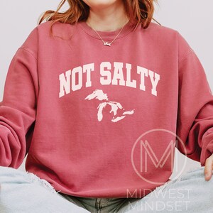 Great Lakes Sweatshirt, Michigan Womens Apparel, Retro Vintage Michigan Shirt, Upper Peninsula Shirt, Camping Nature Sweat Shirt Crimson