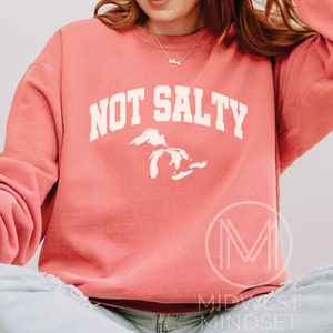 May include: A coral pink sweatshirt with the text "NOT SALTY" in white, featuring a white outline of the Great Lakes. The sweatshirt is worn by a person with long brown hair.