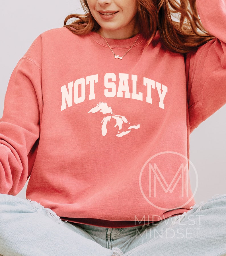 May include: A coral pink sweatshirt with the text "NOT SALTY" in white, featuring a white outline of the Great Lakes. The sweatshirt is worn by a person with long brown hair.