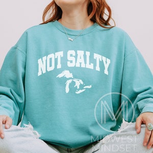 Great Lakes Sweatshirt, Michigan Womens Apparel, Retro Vintage Michigan Shirt, Upper Peninsula Shirt, Camping Nature Sweat Shirt Seafoam