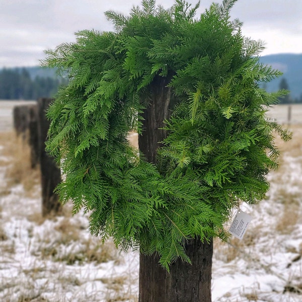 Fresh Christmas Wreaths Etsy