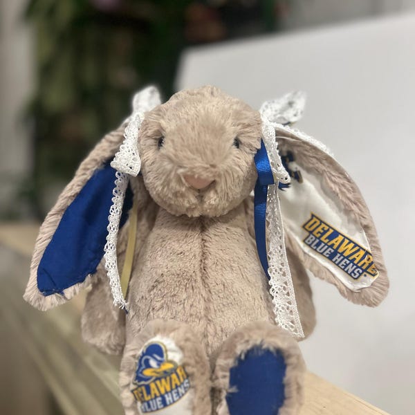 ANY Personalized College Jelly Bunny cat - Custom University Plush