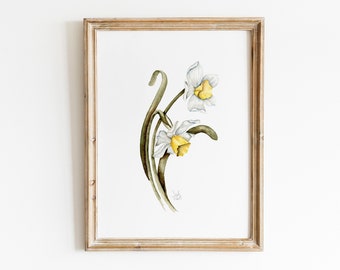 Watercolor Daffodils Print, Vintage Botanical Wall Art, White Daffodils Painting, Daffodils Watercolor Painting, Daffodils Farmhouse