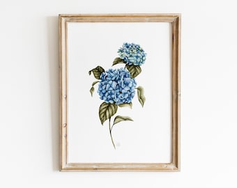 Blue Hydrangeas Watercolor Print, Vintage Botanical Wall Art, Cottage Core Hydrangea Painting, Watercolor Painting, Hydrangea Farmhouse