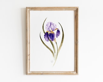 Purple Iris Watercolor Print, Vintage Botanical Wall Art, Iris Painting, Watercolor Painting, Iris Farmhouse