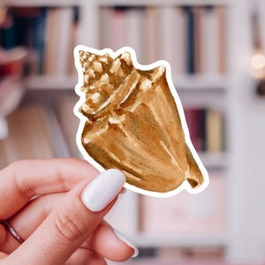 May include: A die-cut sticker featuring a watercolor illustration of a golden-brown conch shell. The shell has a textured, spiral top and a smooth, elongated body with a white border outline, presented against a soft, blurred indoor background.