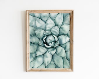 Succulent Print, Watercolor Botanical Plant Wall, Echeveria Print, Colorful Botanical Illustration, Plant Poster