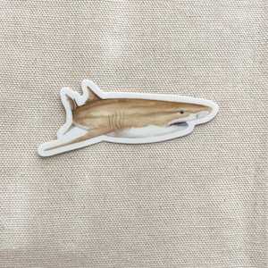 Lemon Shark Sticker, Vinyl Die Cut Decal Sticker, Laptop, Tumbler, Cup, Water Bottle, Tablet, Car Decal