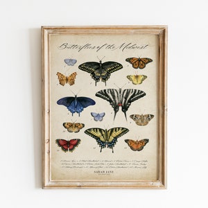 Vintage Butterfly Chart, Midwest Butterflies Poster, Watercolor Insect Art