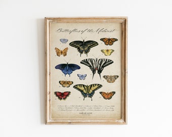 Vintage Butterfly Chart, Midwest Butterflies Poster, Watercolor Insect Art