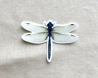 Dragonfly Sticker, Clear Sticker, Bug Sticker, Vinyl Die Cut Decal Sticker, Laptop, Tumbler, Cup, Water Bottle | Tablet | Car Decal