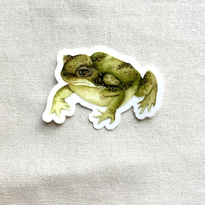 Toad Clear Sticker, Vinyl Die Cut Decal Sticker, Laptop, Tumbler, Cup, Water Bottle, Tablet, Car