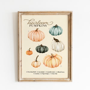 May include: A printable chart featuring seven different types of heirloom pumpkins with their names listed below. The pumpkins are illustrated in watercolor and are arranged in a grid pattern. The chart is titled "Heirloom Pumpkins".