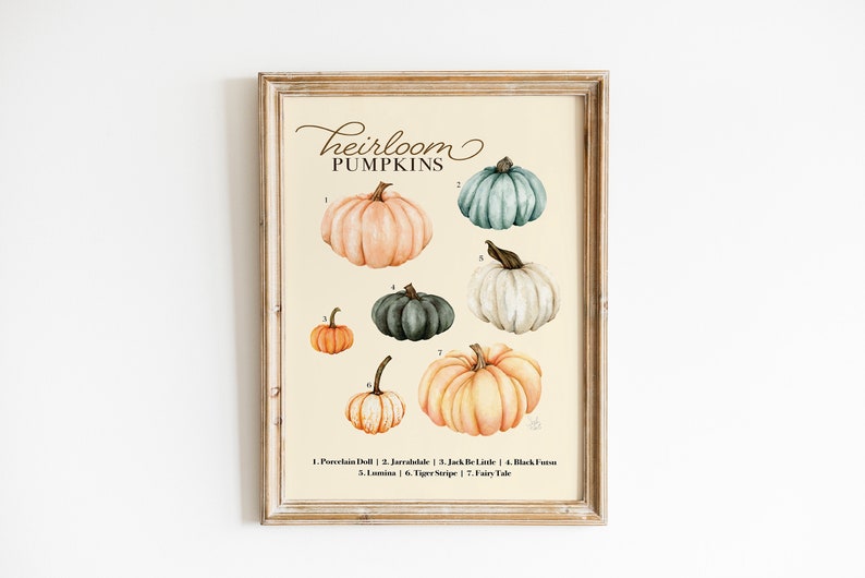 May include: A printable chart featuring seven different types of heirloom pumpkins with their names listed below. The pumpkins are illustrated in watercolor and are arranged in a grid pattern. The chart is titled "Heirloom Pumpkins".