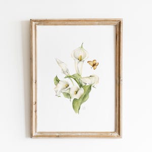 White Calla Lilies Watercolor Print, Vintage Botanical Wall Art, Yellow Butterfly