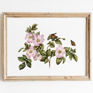 Wild Roses with Monarch Butterflies, Flowers and Monarch Butterflies, Rose Prints, Florals