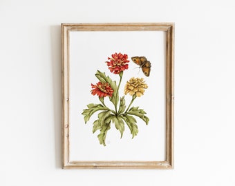 May include: A framed print of a botanical illustration featuring a cluster of orange and yellow marigold flowers with a brown butterfly perched on one of the blooms.