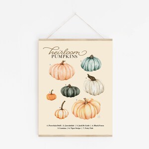 Pumpkin Wall Art, Heirloom Pumpkin Chart, Fall Pumpkin Art, Watercolor Pumpkins, Autumn Print image 1