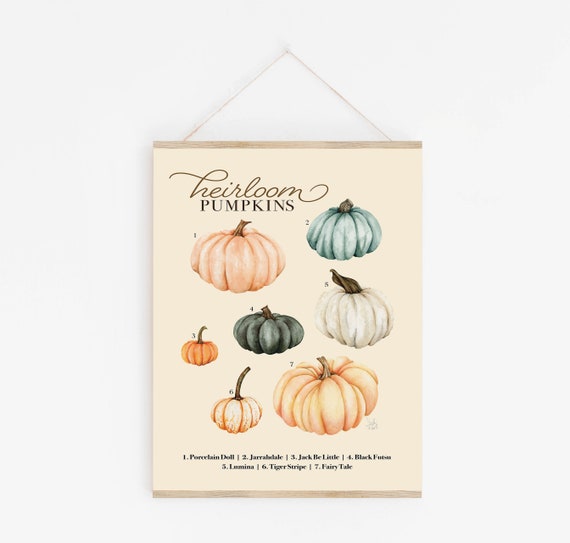 Pumpkin Wall Art, Heirloom Pumpkin Chart, Fall Pumpkin Art, Watercolor Pumpkins, Autumn Print