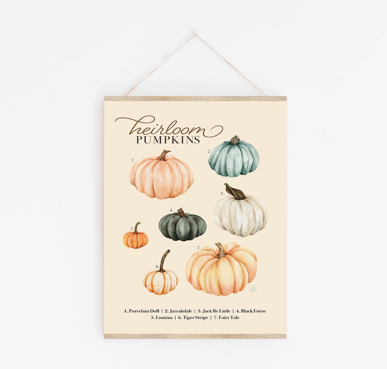 Pumpkin Wall Art, Heirloom Pumpkin Chart, Fall Pumpkin Art, Watercolor Pumpkins, Autumn Print image 1