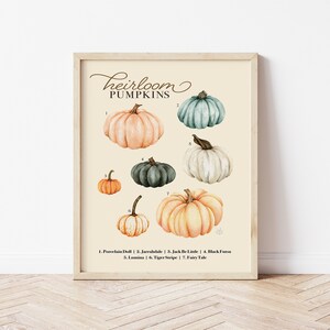 Pumpkin Wall Art, Heirloom Pumpkin Chart, Fall Pumpkin Art, Watercolor Pumpkins, Autumn Print image 3