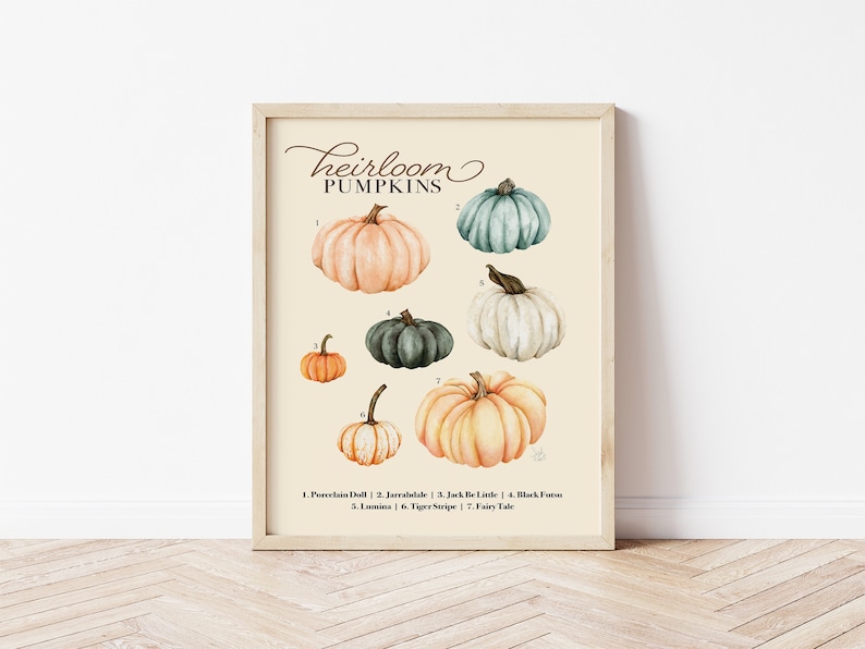 Pumpkin Wall Art, Heirloom Pumpkin Chart, Fall Pumpkin Art, Watercolor Pumpkins, Autumn Print image 3