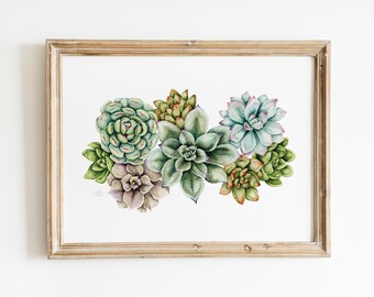 Watercolor Succulent Print, Boho Botanical Plant Wall, Cactus Print, Colorful Botanical Illustration, Plant Poster