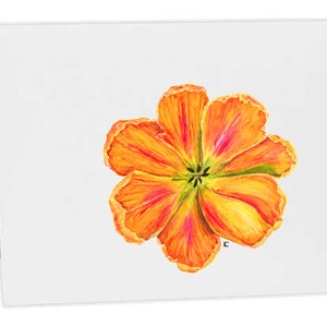 Temporarily Out of Stock - Orange Tulip Notecard