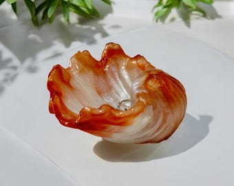 Resin Clam Shell: Jewelry Holder, Air Plant Pot