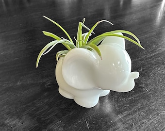 White Elephant Air Plant Holder: Decorative Jewelry Dish