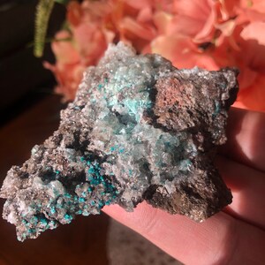 AURICHALCITE Crystals Cluster from Santa Eulalia Chihuahua Mexico/Aurichalcite with Calcite upon Matrix Rock