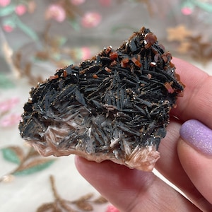 2.3&quot; Red VANADINITE Crystals on BLACK BARITE from Mibladen Morocco/Mineral Specimen/Mineral Collector/Gift Idea/Display/Mineral Cluster