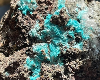 Aurichalcite Crystal Cluster from Mexico, Blue Acicular Crystals on Matrix, Mineral Specimen Display Piece