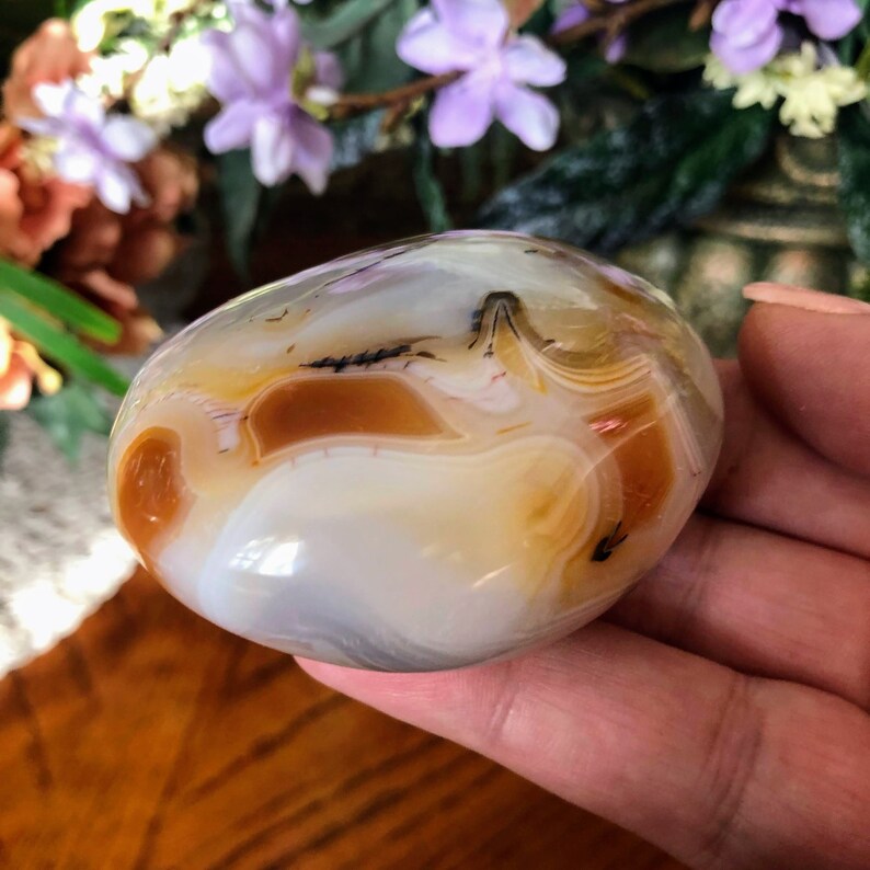 May include: A smooth, white agate stone with brown and black banding. The stone is polished and has a natural, organic shape.